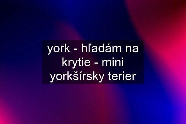 york - hľadám na krytie - mini yorkšírsky terier