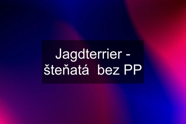 Jagdterrier - šteňatá  bez PP