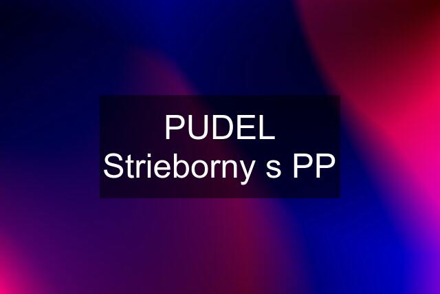 PUDEL Strieborny s PP