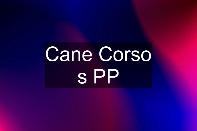 Cane Corso s PP