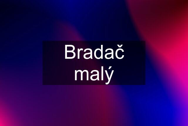 Bradač malý