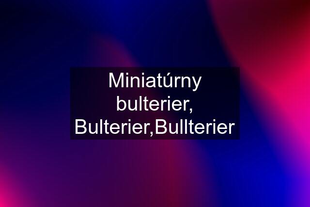 Miniatúrny bulterier, Bulterier,Bullterier
