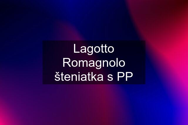 Lagotto Romagnolo šteniatka s PP