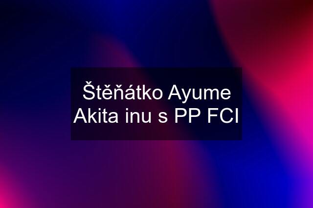 Štěňátko "Ayume" Akita inu s PP FCI