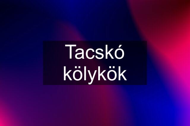 Tacskó kölykök