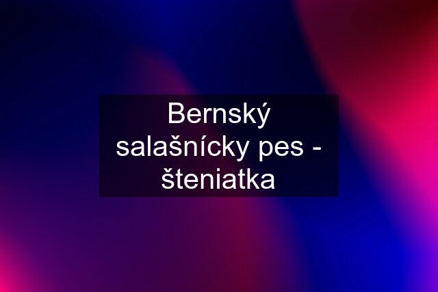 Bernský salašnícky pes - šteniatka