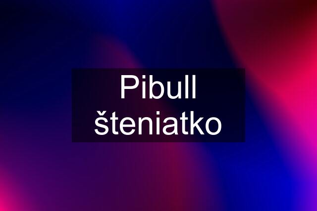 Pibull šteniatko