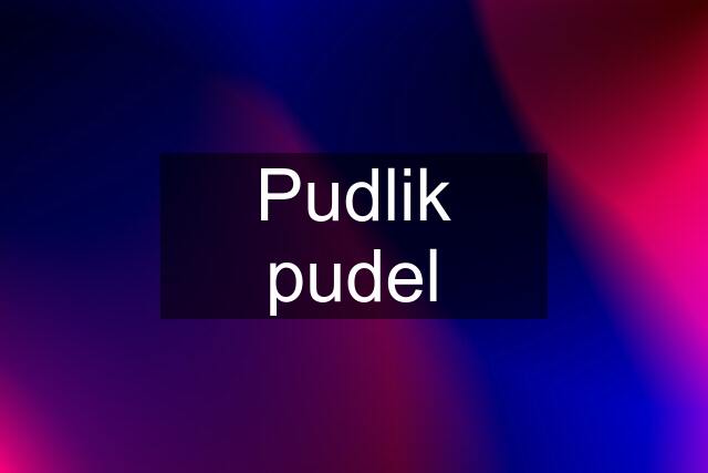 Pudlik pudel