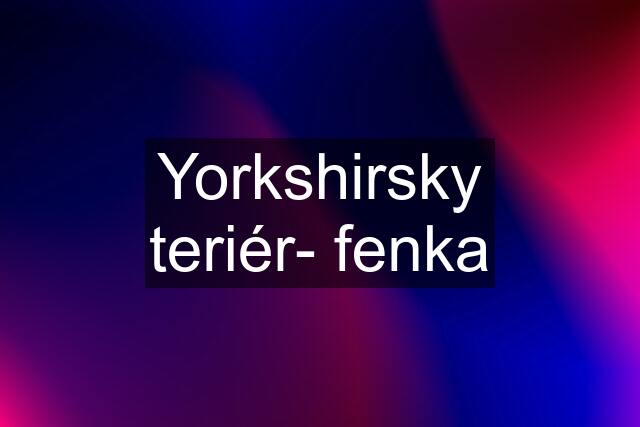 Yorkshirsky teriér- fenka