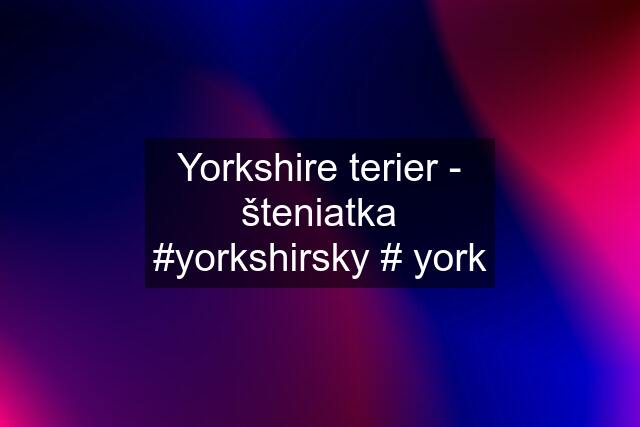 Yorkshire terier - šteniatka #yorkshirsky # york