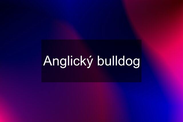 Anglický bulldog