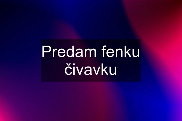 Predam fenku čivavku