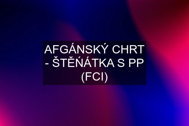 AFGÁNSKÝ CHRT - ŠTĚŃÁTKA S PP (FCI)