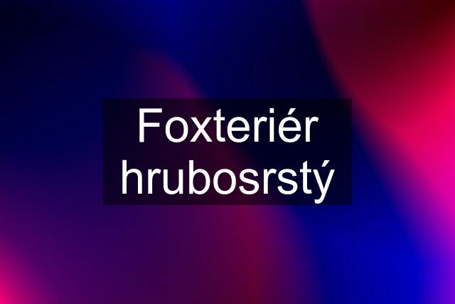 Foxteriér hrubosrstý