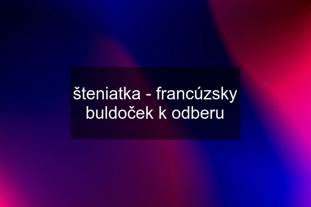 šteniatka - francúzsky buldoček k odberu