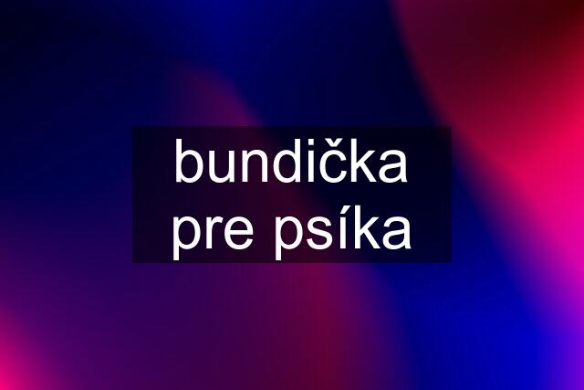 bundička pre psíka