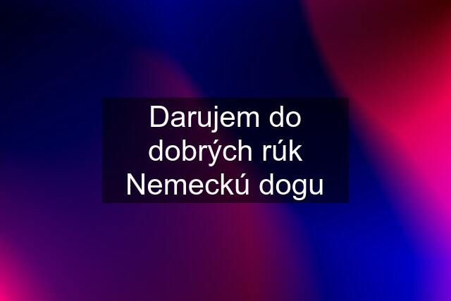 Darujem do dobrých rúk Nemeckú dogu