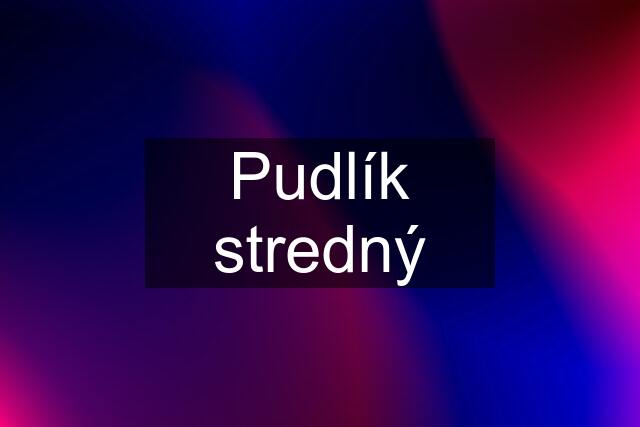 Pudlík stredný