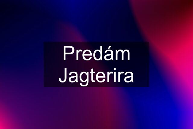 Predám Jagterira