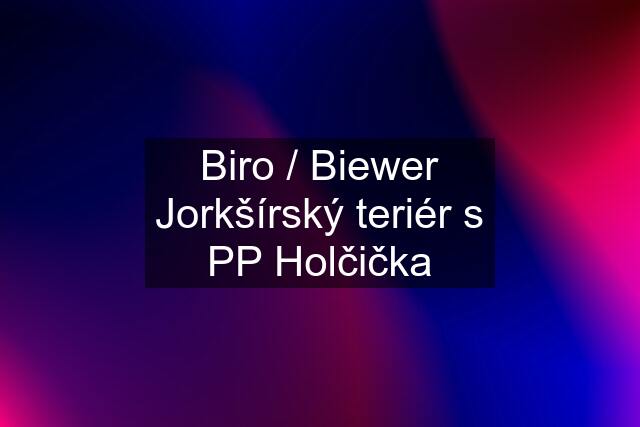 Biro / Biewer Jorkšírský teriér s PP Holčička
