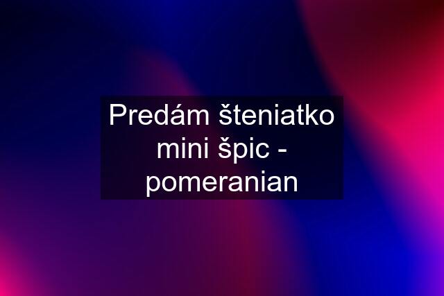 Predám šteniatko mini špic - pomeranian