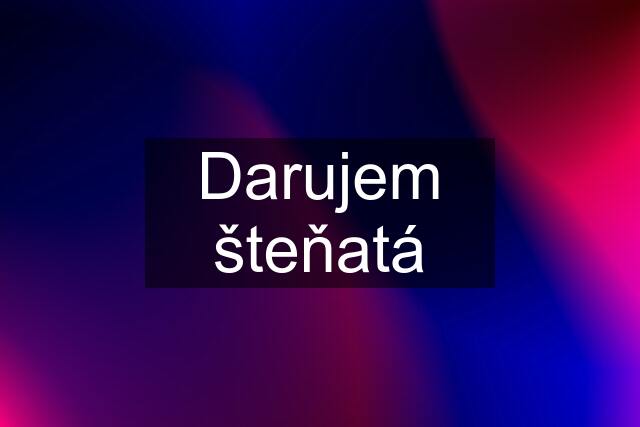 Darujem šteňatá