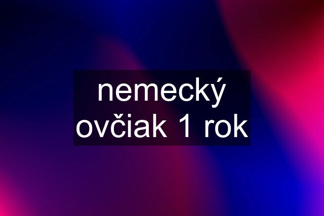 nemecký ovčiak 1 rok