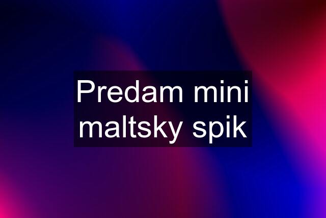 Predam mini maltsky spik