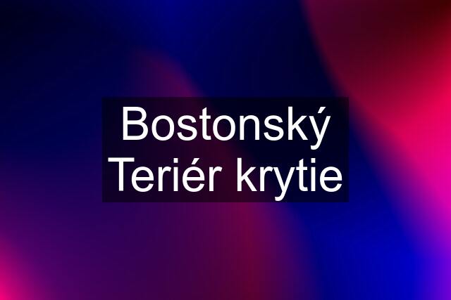 Bostonský Teriér krytie