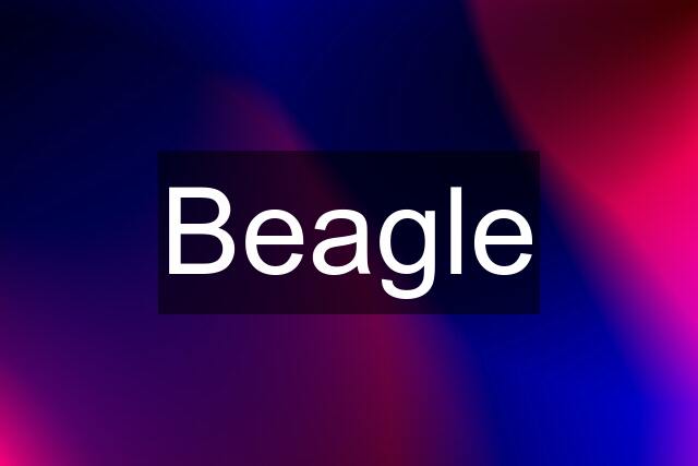 Beagle