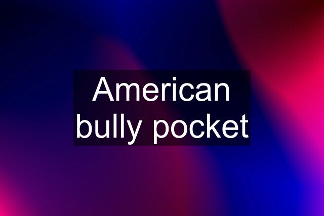 American bully pocket