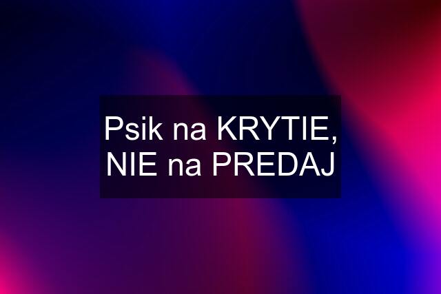 Psik na KRYTIE, NIE na PREDAJ