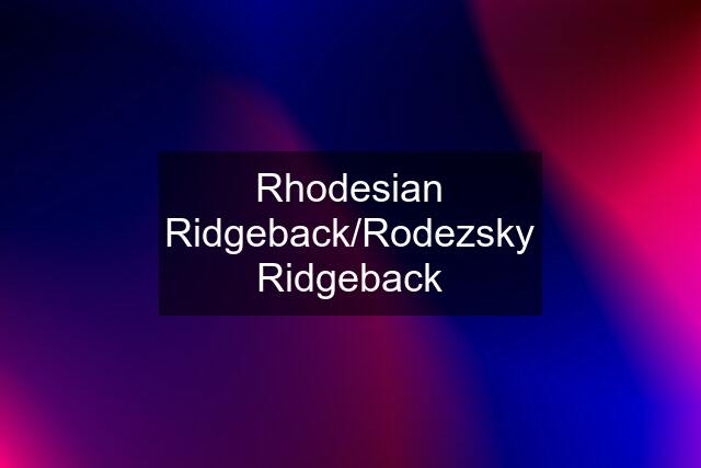 Rhodesian Ridgeback/Rodezsky Ridgeback