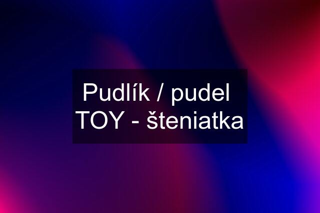 Pudlík / pudel  TOY - šteniatka