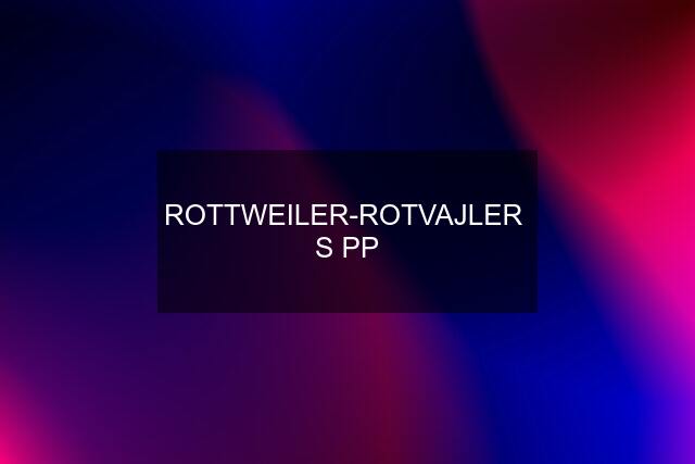 ROTTWEILER-ROTVAJLER  S PP