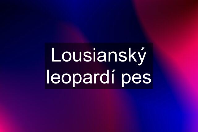 Lousianský leopardí pes