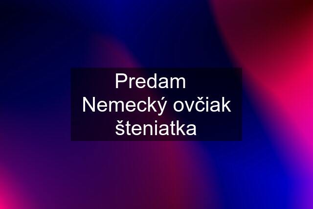 Predam   Nemecký ovčiak šteniatka