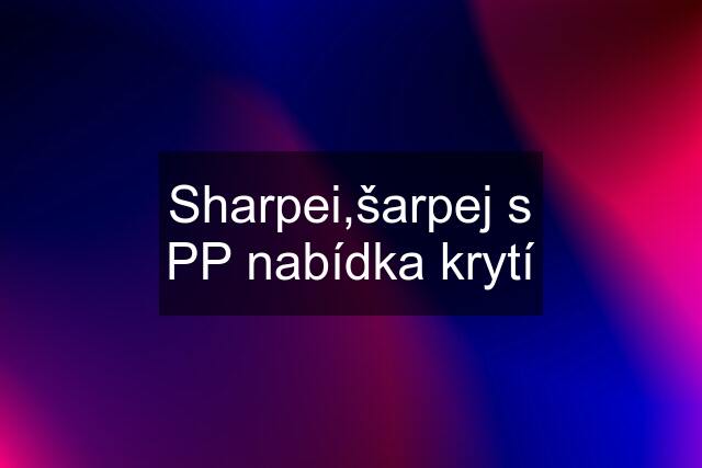 Sharpei,šarpej s PP nabídka krytí