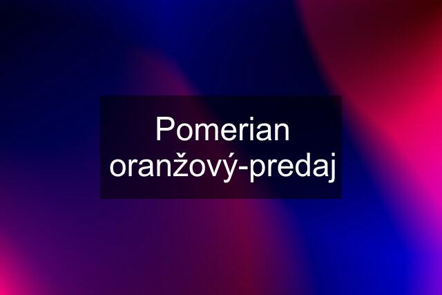 Pomerian oranžový-predaj