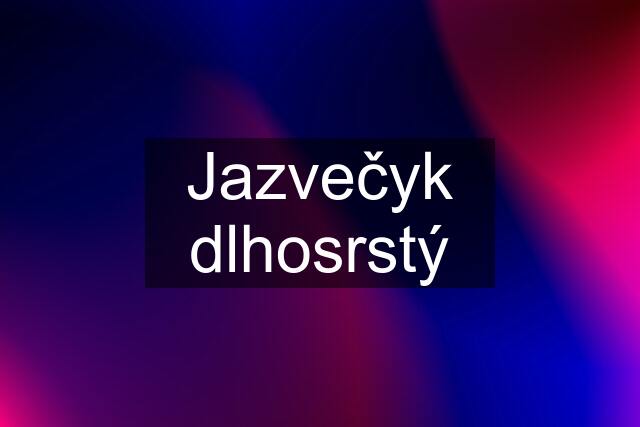 Jazvečyk dlhosrstý