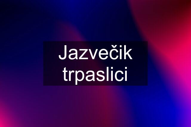 Jazvečik trpaslici