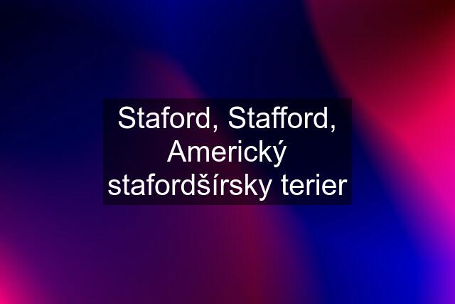 Staford, Stafford, Americký stafordšírsky terier