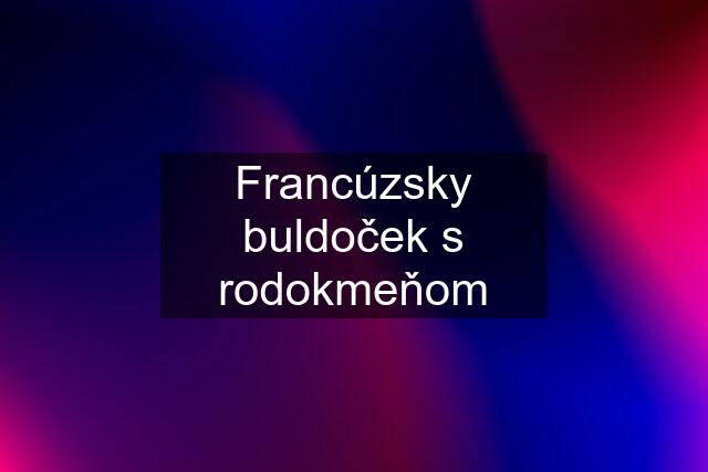 Francúzsky buldoček s rodokmeňom