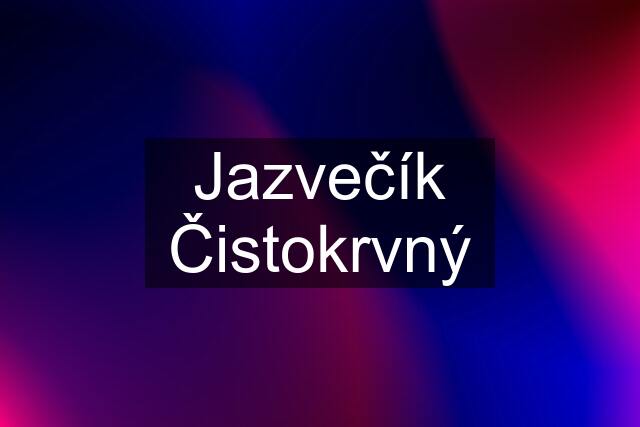 Jazvečík Čistokrvný