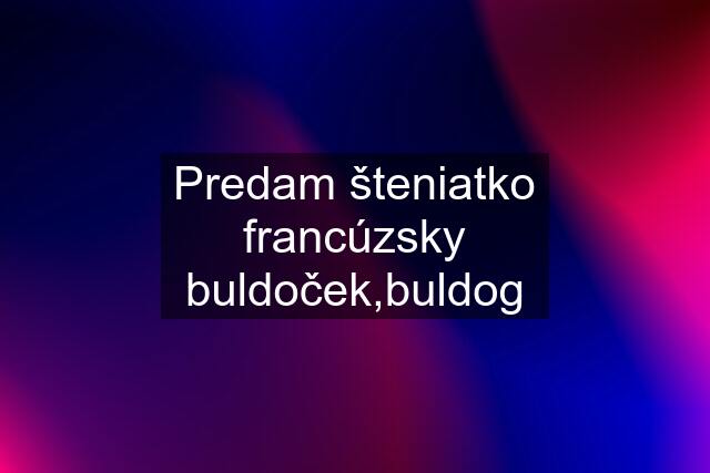 Predam šteniatko francúzsky buldoček,buldog