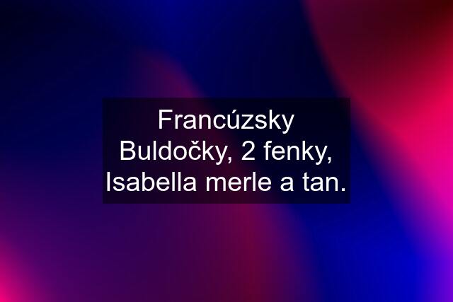 Francúzsky Buldočky, 2 fenky, Isabella merle a tan.