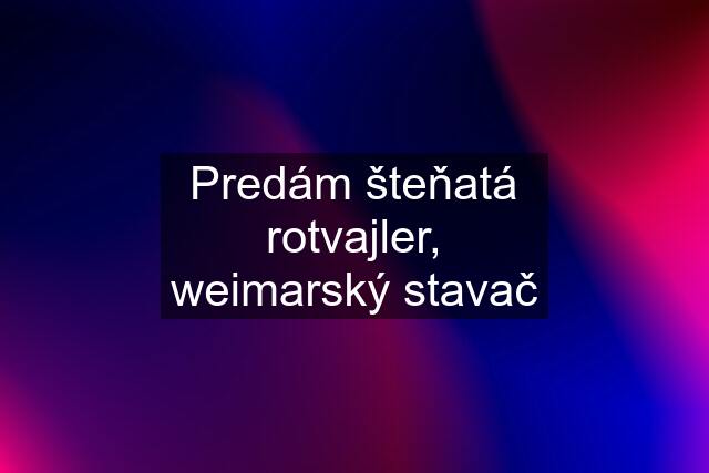 Predám šteňatá rotvajler, weimarský stavač