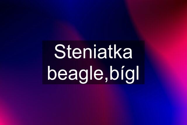 Steniatka beagle,bígl