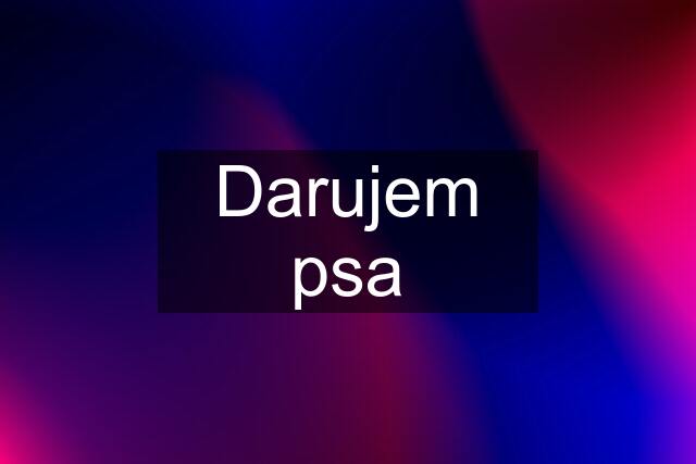 Darujem psa