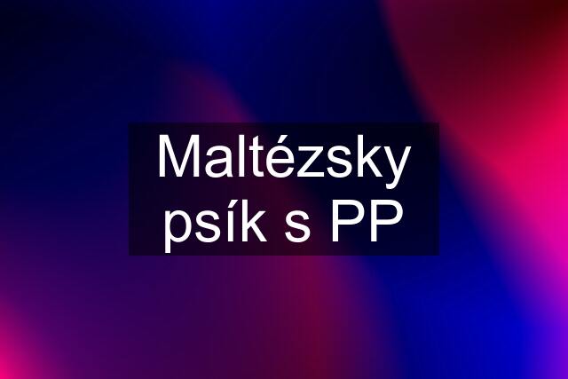 Maltézsky psík s PP